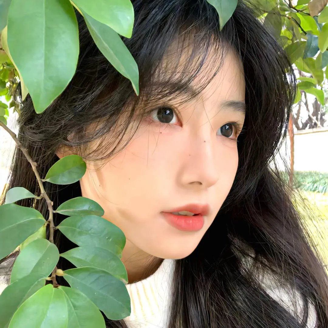 8级警报